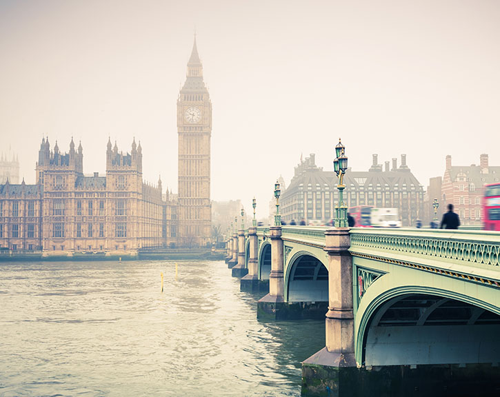 expertise Agreements