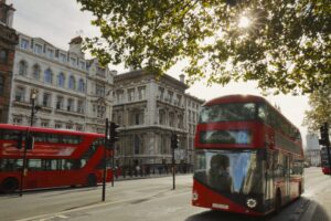 Red buses London with tree