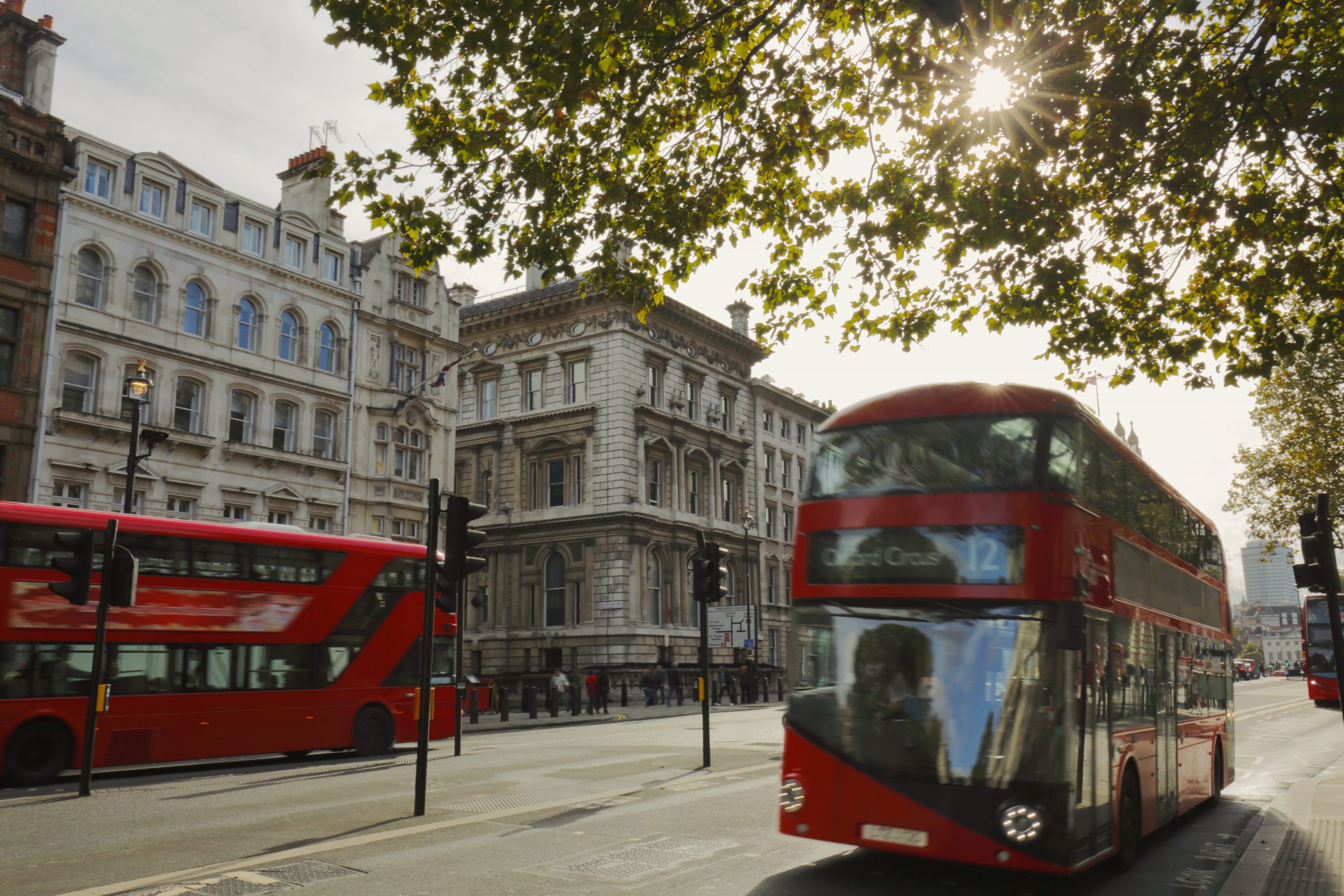 Red buses London with tree