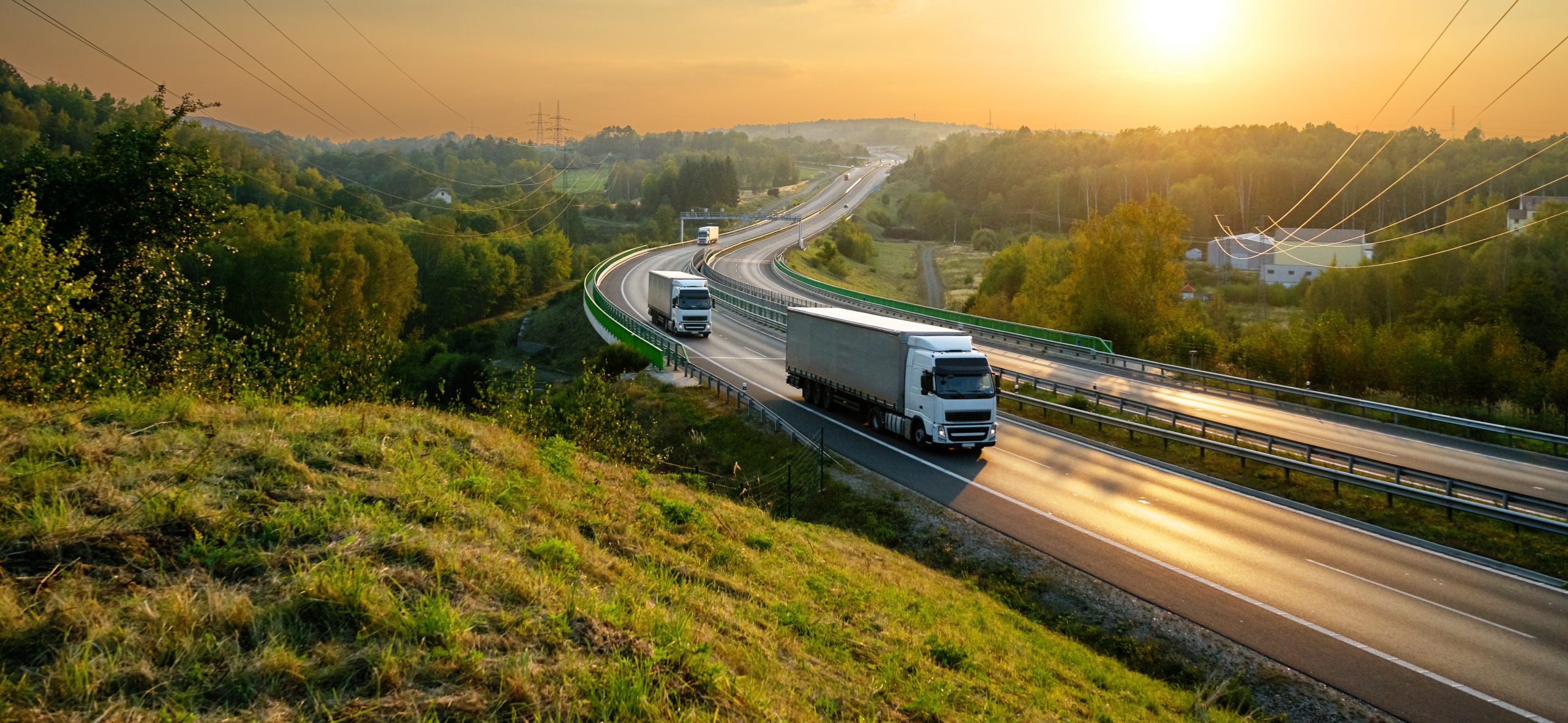 So, Life after COVID-19 eh!