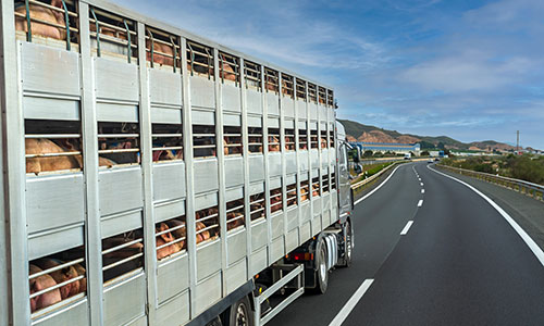 Health & Safety Investigations / Prosecutions