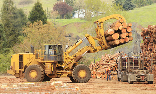 Health & Safety Investigations / Prosecutions