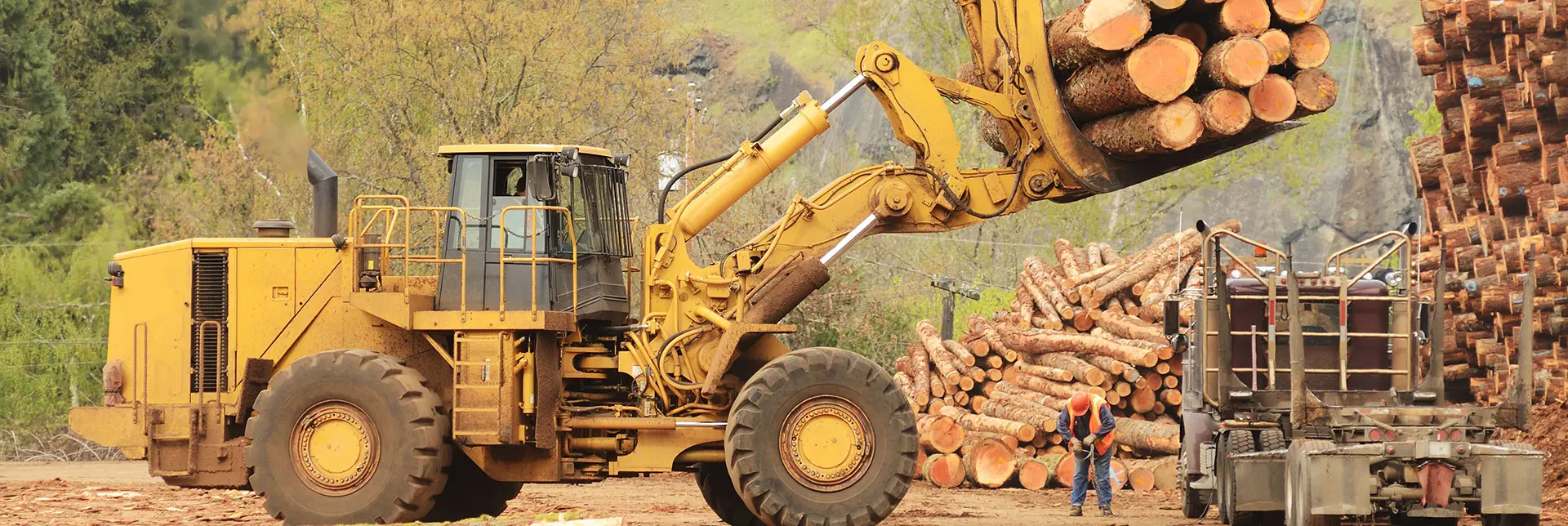 Health and Safety Investigations