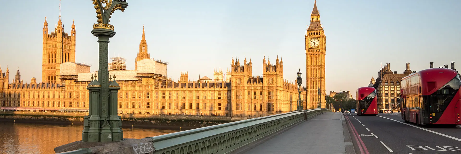 Traffic Commissioner Appeals