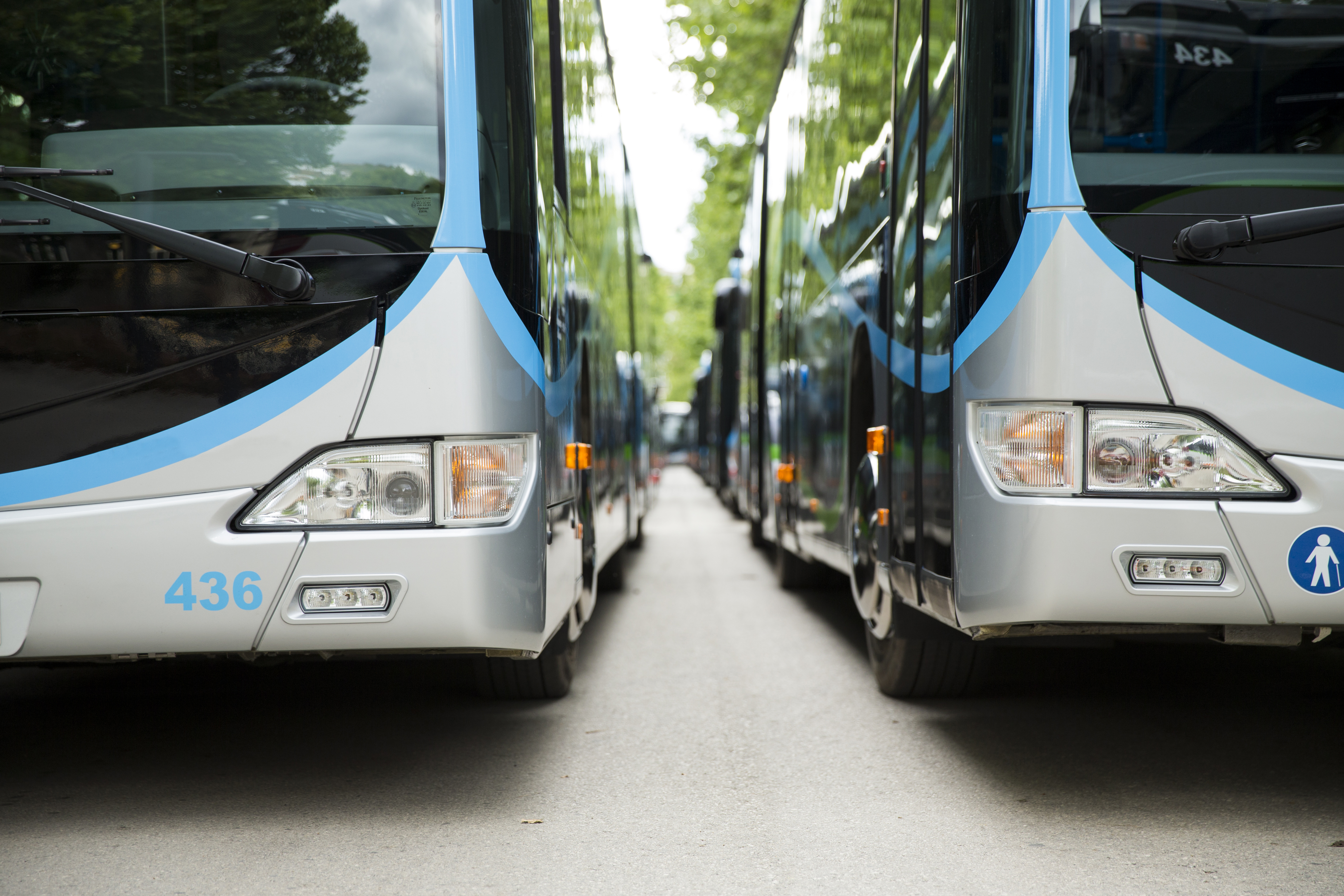 Two coaches parked side by side, representing the UK coach industry and school transport services.