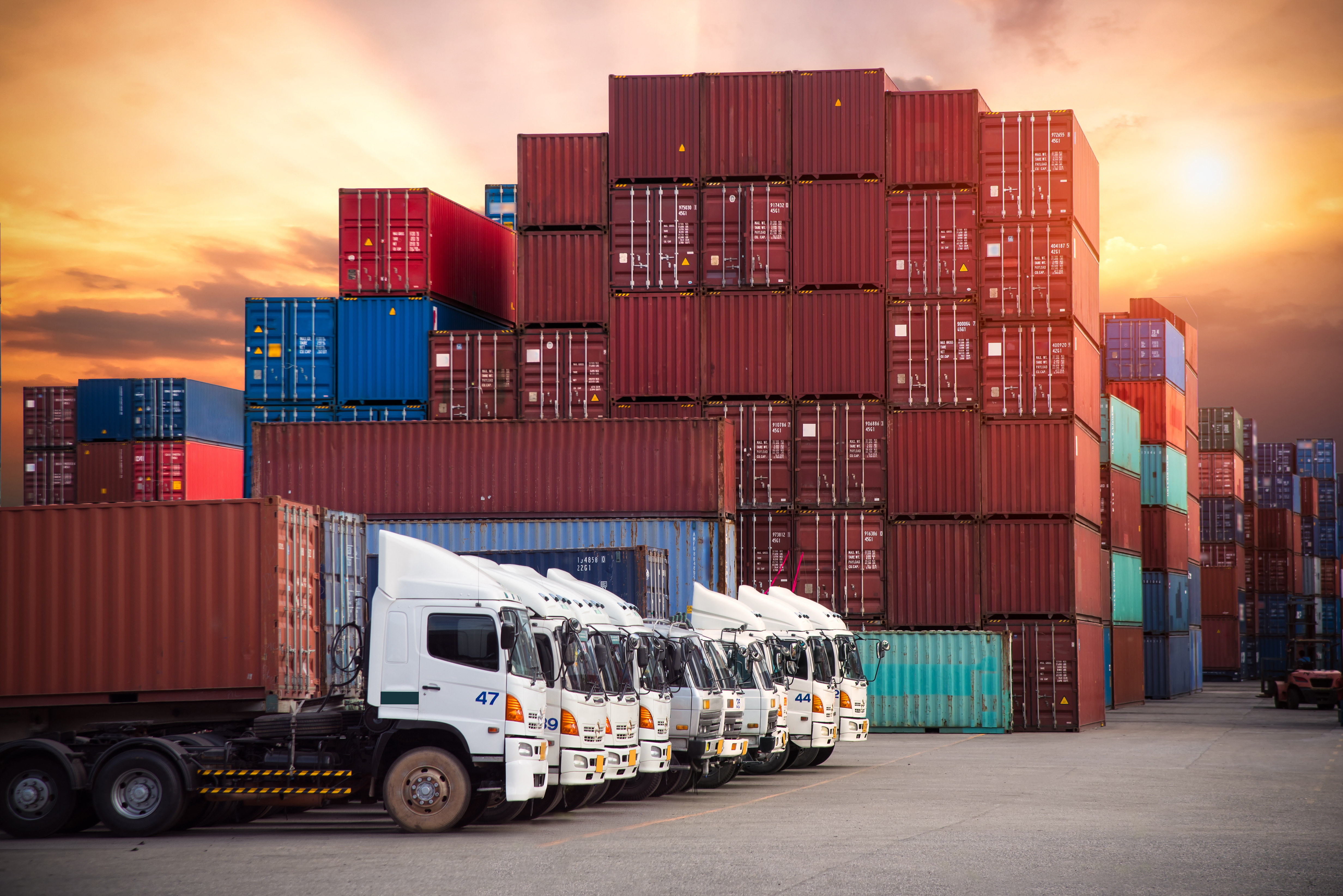 UK haulage trucks lined up next to shipping containers, illustrating border checks under the EU Entry/Exit System (EES)