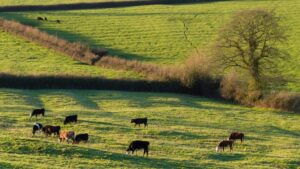 Inheritance tax changes for agricultural property